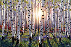 Pejman Aspens Magical Morning Giclee